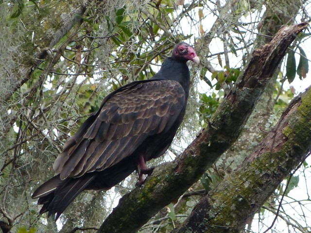 P1210175