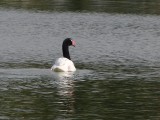 P1210188