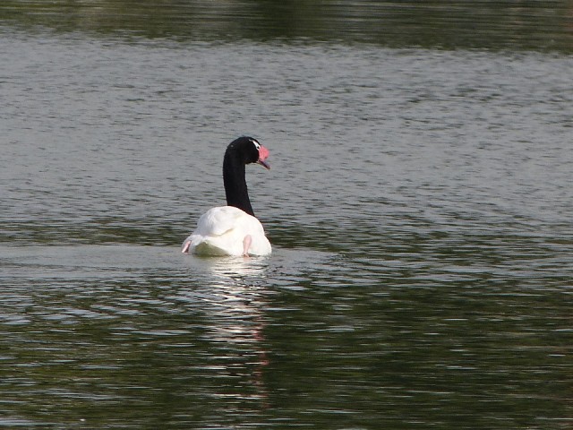 P1210188