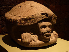 Antropologisch museum