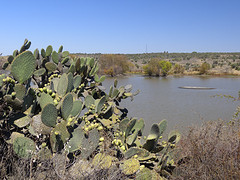 el charco