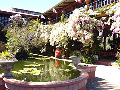 Bougainvilles botanische tuin restaurant