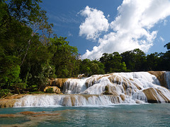 Agua azul waterval