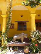 jaguar heilig dier Mayas