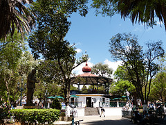 Christobal de las casas