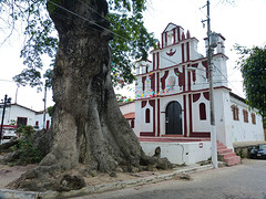 Chiapas del corzo met oude kapokboom