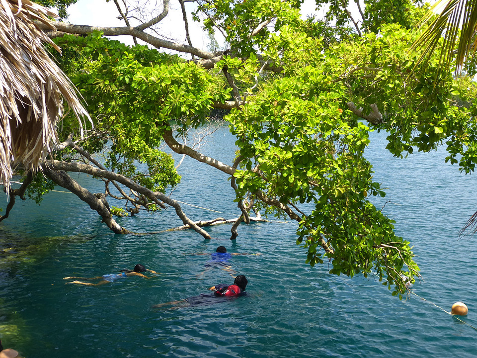 cenote