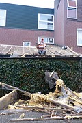 wat een zootje