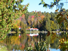 Lake Parker spiegelt