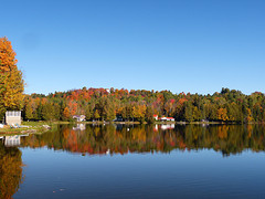 Lake Parker spiegelt