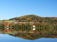 Lake Parker spiegelt