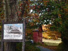 Maple sirop