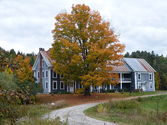 typisch Vermont