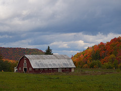 rode boerenschuren (barns)
