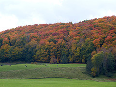 herfstkleuren