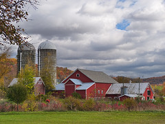 boerderij