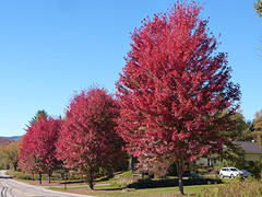 kleuren