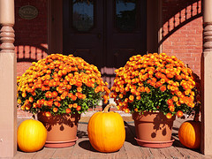 herfst