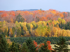 herfstkleuren