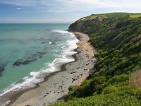 Bushy beach