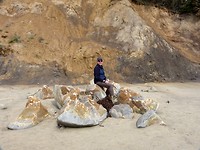 Moeraki boulders