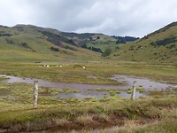 richting Allen beach