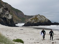 surfers