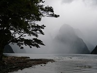 Milford sound