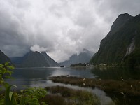 Milford Sound