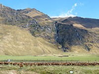 herten