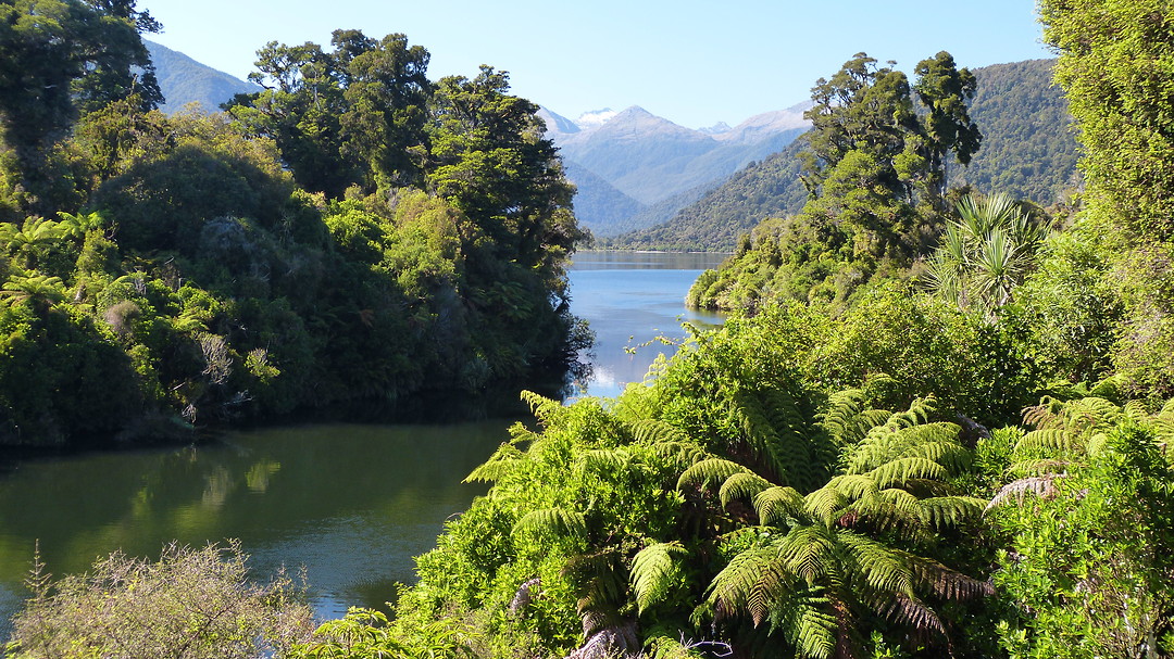 rivier