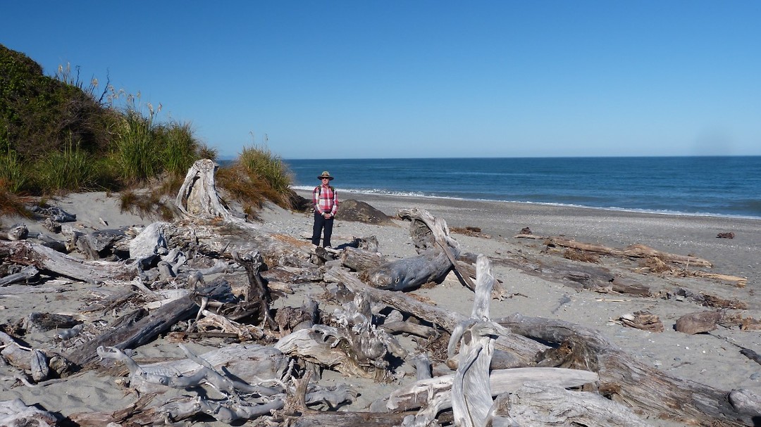 strand