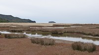 eerste stuk van de AT wandeling