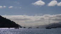 Marlborough sounds