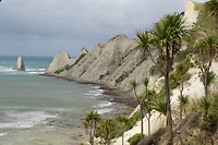 Cape Kidnappers