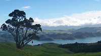 Coromandel