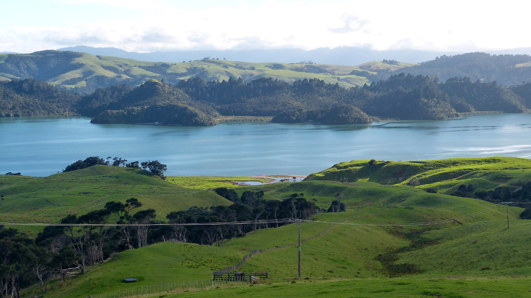 Coromandel