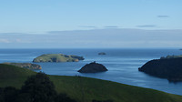 Coromandel