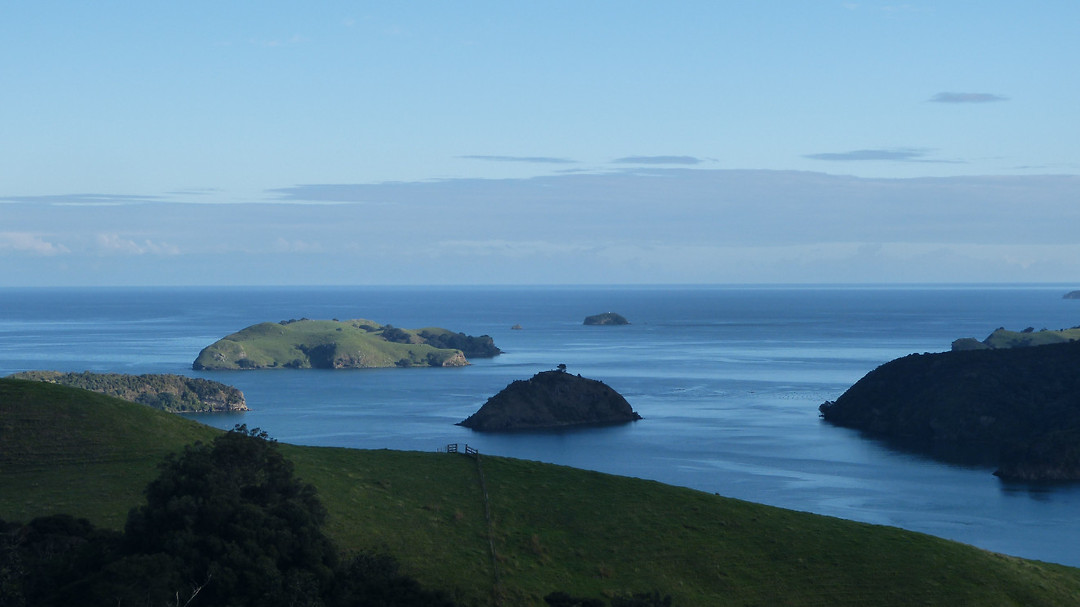 Coromandel