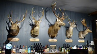 Bar in restaurant