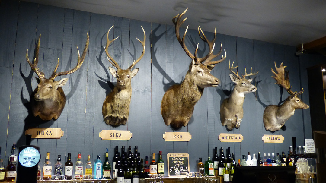 Bar in restaurant