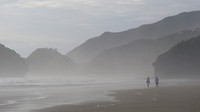 Bethells beach