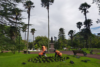 Albertpark
