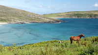 Mizenhead