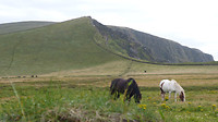 landschap bij de kliffen