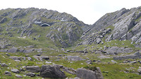 Healy pass schapen kudde