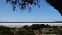 zoutmeer