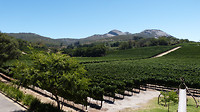 Wineestate Laborie