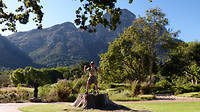 Kirstenbosch