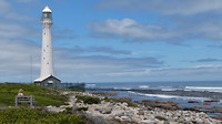 Vuurtoren slangkop
